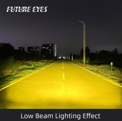 PL40-black/blue Future Eyes Fog Light