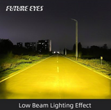 PL40-black/blue Future Eyes Fog Light